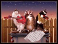 трио котов.jpg