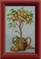 апельсиновое дерево.jpeg