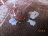 Изображение 311.jpg