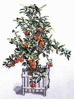 Permin 12-701 Oranger.jpg