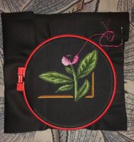 пион 15.09.2013.jpg