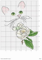 LA Cat Green Eyes & Magnolia.jpg