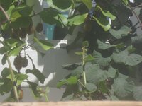 Изображение 33222.jpg