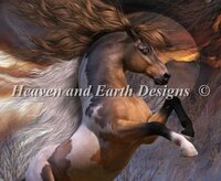 Spirit Of The Wild.jpg