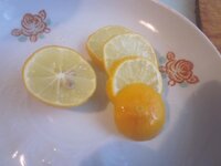 Изображение 662.jpg