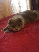 мальчик вырос.jpg