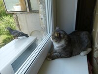 Охота 12.05.13 (7).jpg