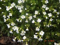 Изображение 004.jpg