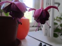 Изображение 1128.jpg