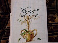 АПЕЛЬСИНОВОЕ ДЕРЕВЦЕ (2).jpg