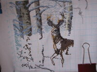 Изображ 004.jpg