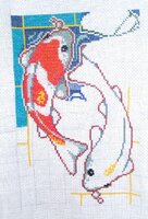 карпики 10.09.2011.jpg