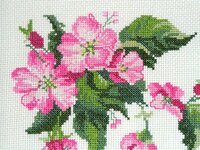 01_шиповник 03.jpg