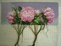 Пионы 22 мая.jpg