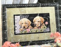 Labrador Puppies.jpg