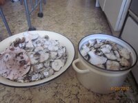 Изображение 33404.jpg