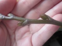 Изображение 072.jpg