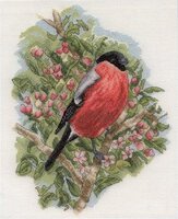 DMC K5553 Bullfinch.jpg