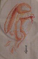 ольга кат3.jpg