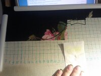 2016-09-30 18.31.28.jpg