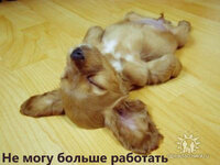 пїЅпїЅ пїЅпїЅпїЅпїЅ пїЅпїЅпїЅпїЅпїЅпїЅ пїЅпїЅпїЅпїЅпїЅпїЅпїЅпїЅ))).jpg