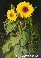 1246 Sunflowers.jpg