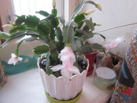 Изображение 32543.jpg