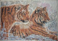 Олеся два тигра4.jpg