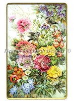 PTP Hummingbirds.jpg