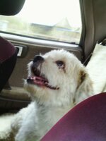 IMAG4334 [Разрешение рабочего стола].JPG