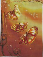 IMG_1944 [Разрешение рабочего стола].JPG