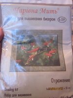 Изображение 504.jpg