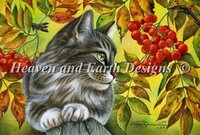 Red Berries.jpg