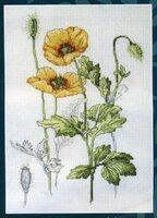 RHS06 Anchor_enl.jpg