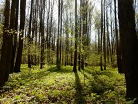 2014-05-08 10-57-56.jpg