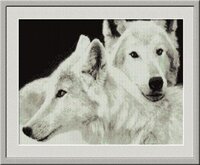 Nastunya20 White Wolves.jpg
