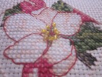 Изображение 186.jpg