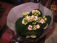 Изображение 2855.jpg