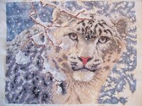 Леопард от MMANN 12.jpg