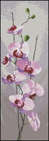 PM4-JCOR686_Orchid Panel.jpg