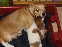 Изображение 001.jpg