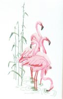 Thea Gouverneur - Flamingo's (1).jpg