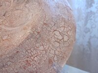 Изображение 31354.jpg