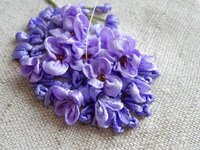 2016-01-23 14-04-44.jpg