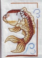 musyte залотая рыбка 28.02.2012.jpg