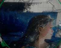 Дева.  Отшив на 2.10.16.  +600.jpg