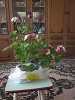 Изображение 1118.jpg