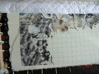 Энджи СЛеопард 09.jpg