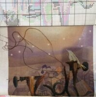 стоп кошек.jpg