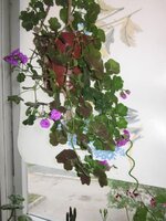 Изображение 1175.jpg